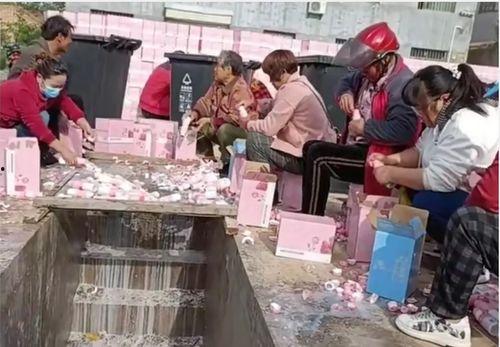 国产12p,引领科技潮流的创新之作