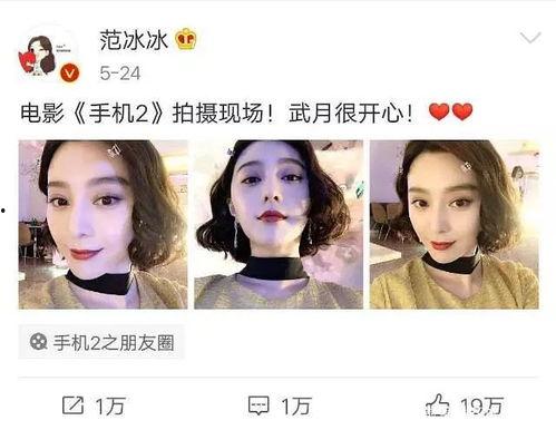 娱乐圈吃瓜集美小说