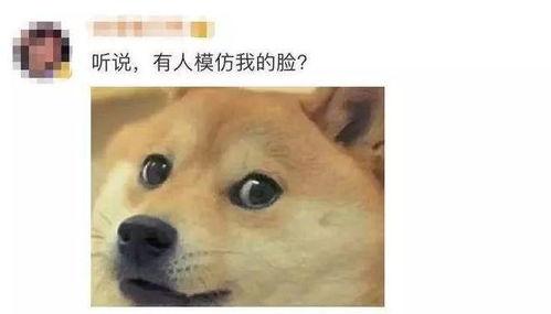 微信里的表情包吃瓜什么意思