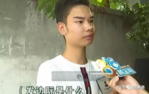 娱乐圈吃瓜动态表情包