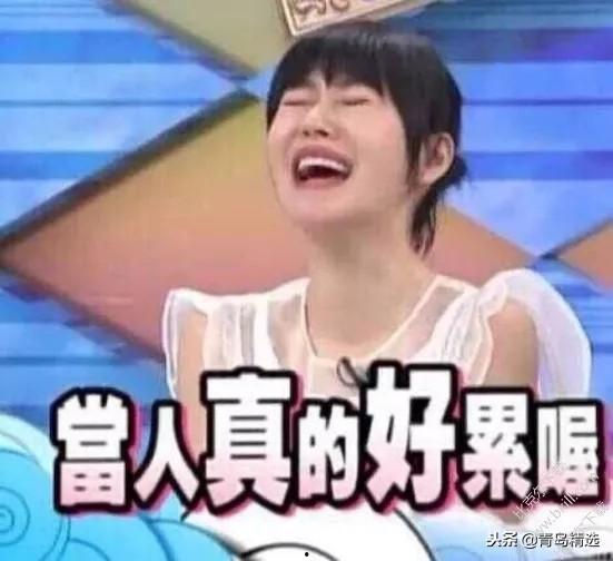 娱乐圈吃瓜短剧推荐,那些你不知道的吃瓜短剧大放送！